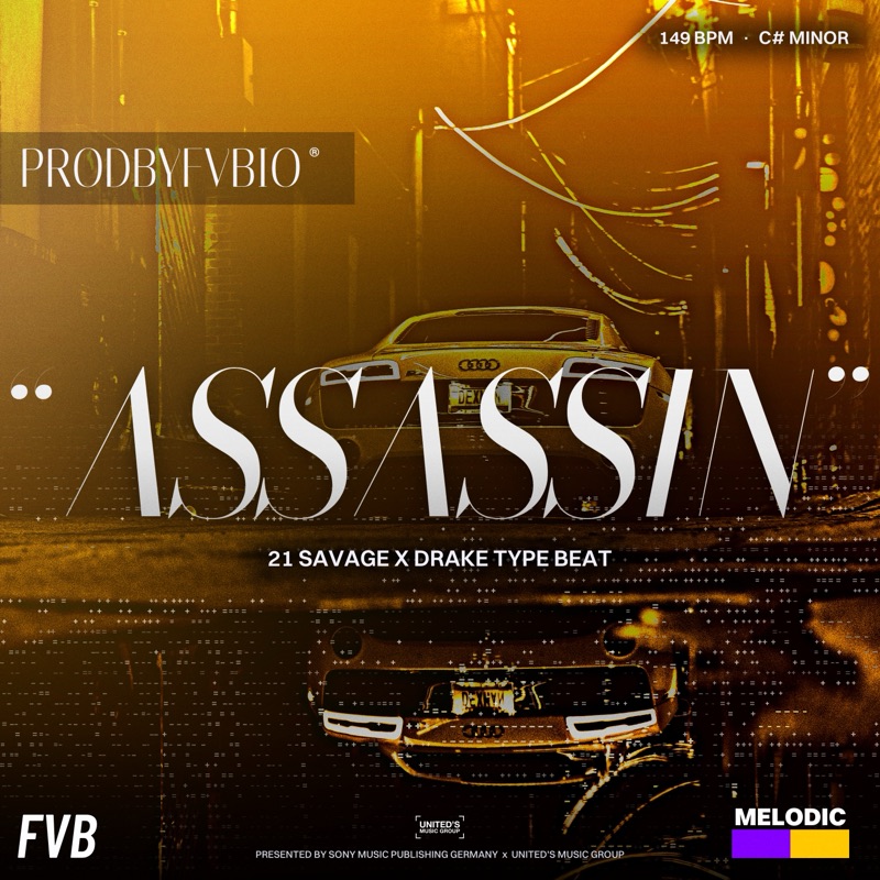 ASSASSIN cover