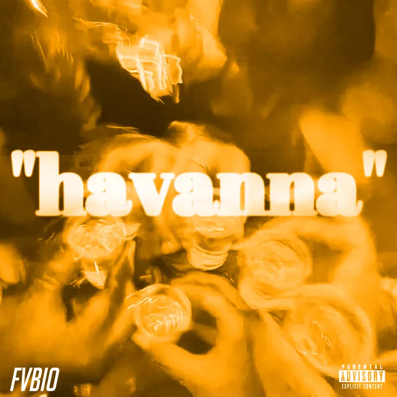 havanna cover