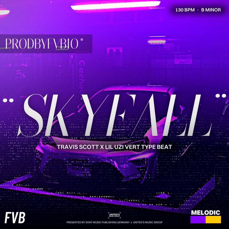 SKYFALL cover
