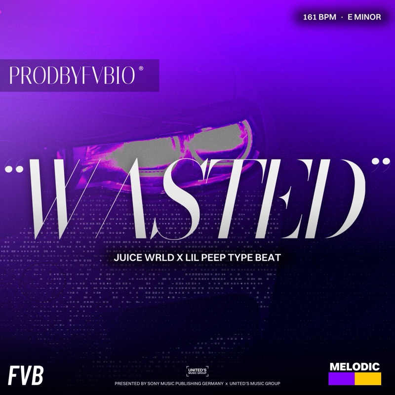 WASTED cover